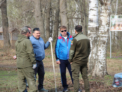 Губернатор Бусаргин высаживал сосны на Кумысной поляне