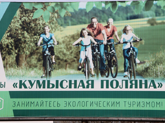 Губернатор Бусаргин высаживал сосны на Кумысной поляне