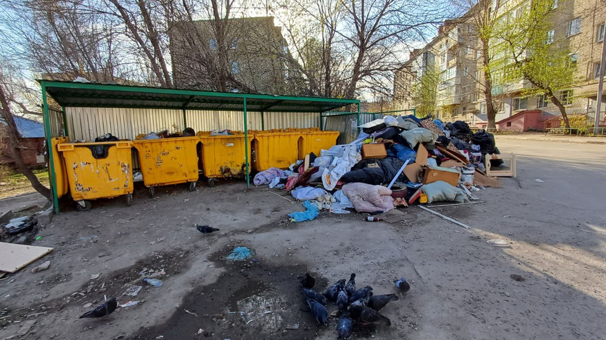Старая мебель и крысы: жители жалуются на свалки в Ленинском районе Саратова