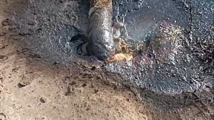 В Саратове произошел разлив нефти