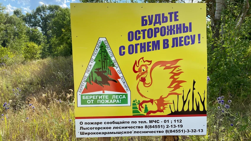 В Саратовской области ввели особый противопожарный режим