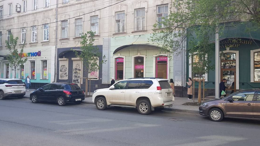 Неизвестные продырявили саженцы клена в центре Саратова
