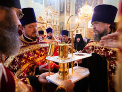 Митрополит Игнатий: саратовцы не поделили свечки, встречая Благодатный огонь