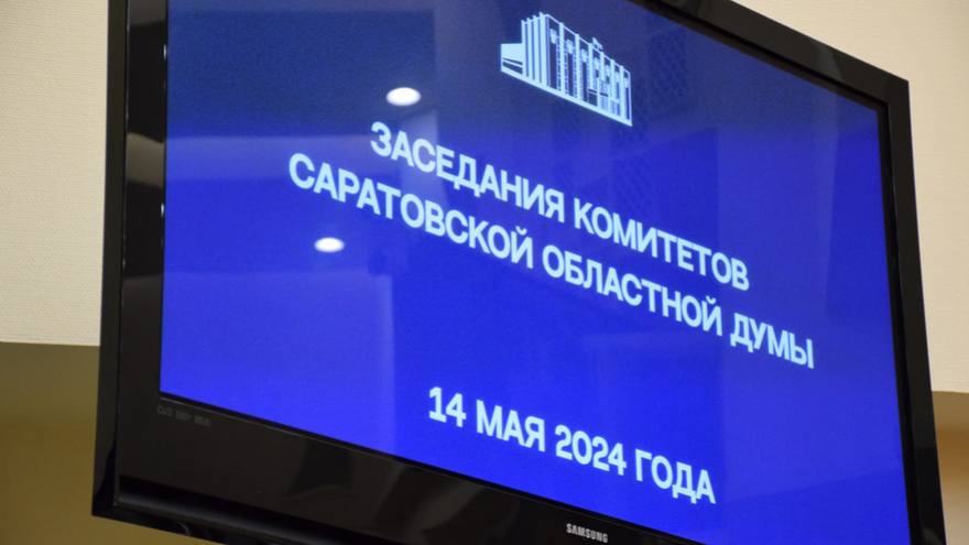 Жилье для детей-сирот: саратовские депутаты инициируют изменение федерального закона