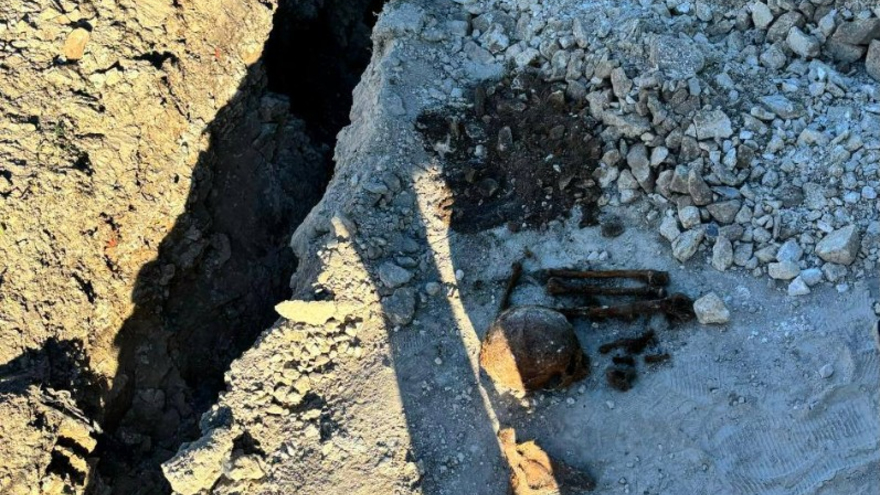Водитель трактора нашел человеческий череп в Вольске