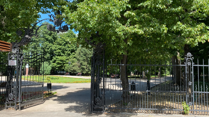В Саратове закроют сад Липки