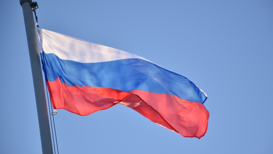 Саратовские суды выгнали из России тысячу нелегалов