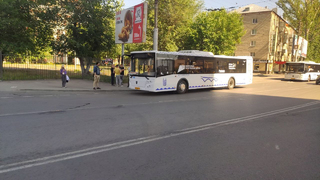 В Саратове для Студвесны сняли автобусы, закупленные по нацпроекту