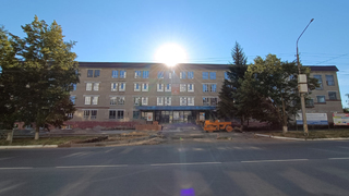 Горожане возмутились вырубке 40-летних елей в Балашове