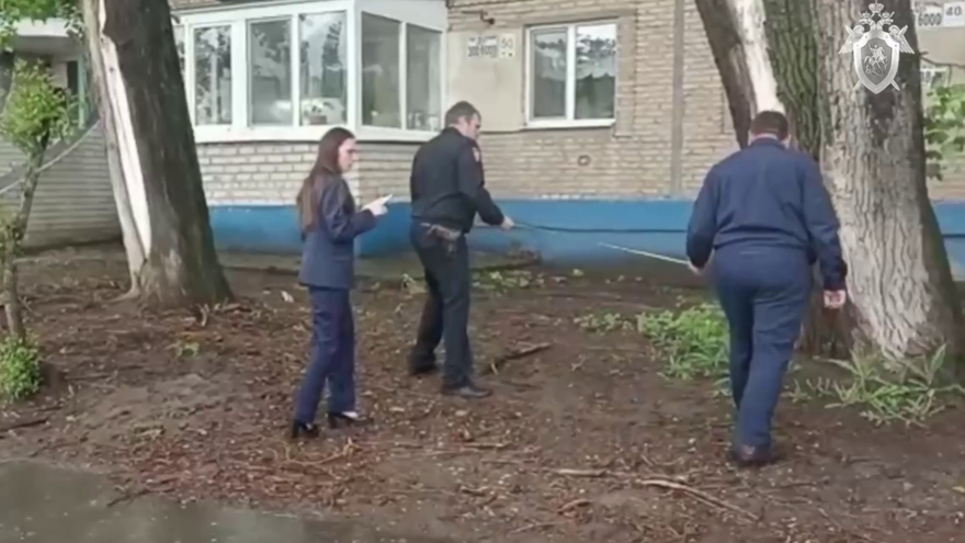 В Балакове ветка тополя убила женщину: дело переквалифицировали и направляют в суд