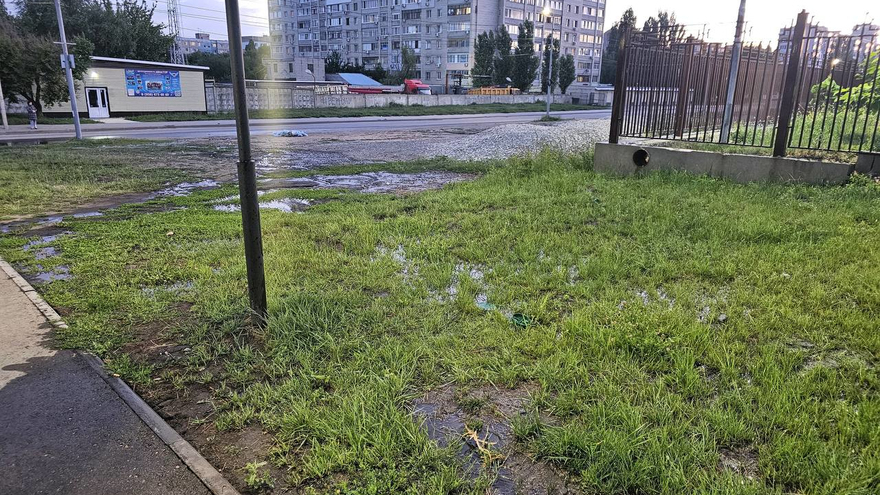 Вандалы испортили автополив в саратовском сквере