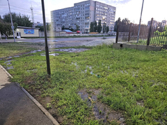 Вандалы испортили автополив в саратовском сквере