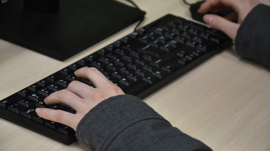 В думе обеспокоились трудоустройством саратовских IT-специалистов в Яндекс и 1С