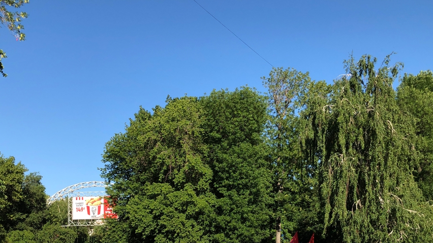 Погода в Саратовской области: ясный день, жара немного спадет