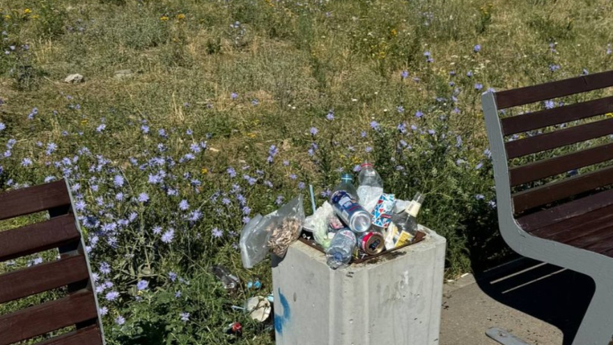 Аллея у детсада в Юбилейном зарастает мусором