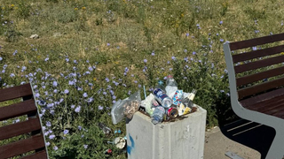 Аллея у детсада в Юбилейном зарастает мусором
