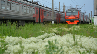 Туристическая поездка на электропоезде из Саратова в Красноармейск состоится 26 июля
