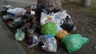 Терпение лопнуло: депутаты готовят жалобу руководству Ситиматика