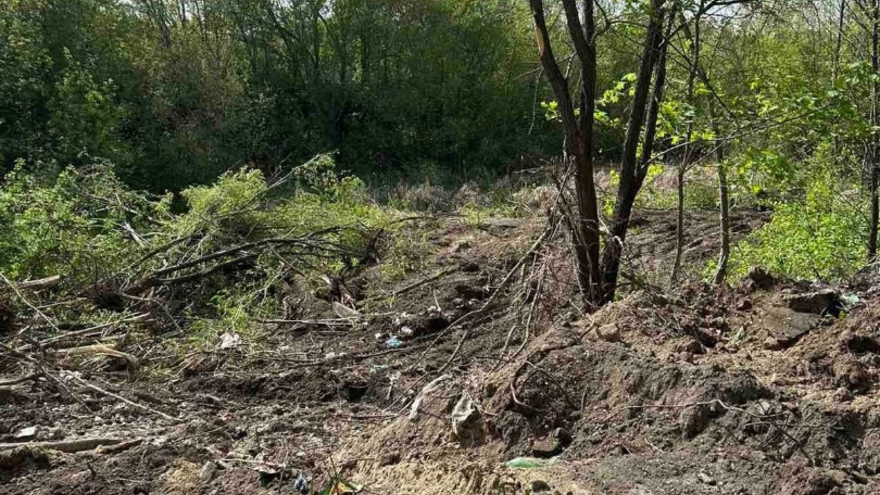 В Заводском районе засыпают ручей и вырубают деревья: Бастрыкин потребовал завести уголовное дело