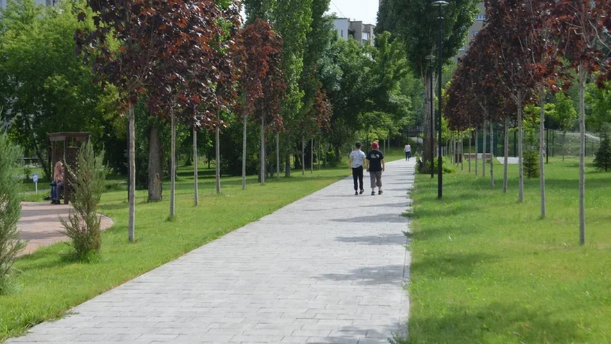 Погода в Саратовской области: сухая теплая суббота