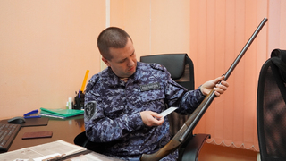 Росгвардия забрала у жителей Саратовской области 721 единицу оружия с начала года