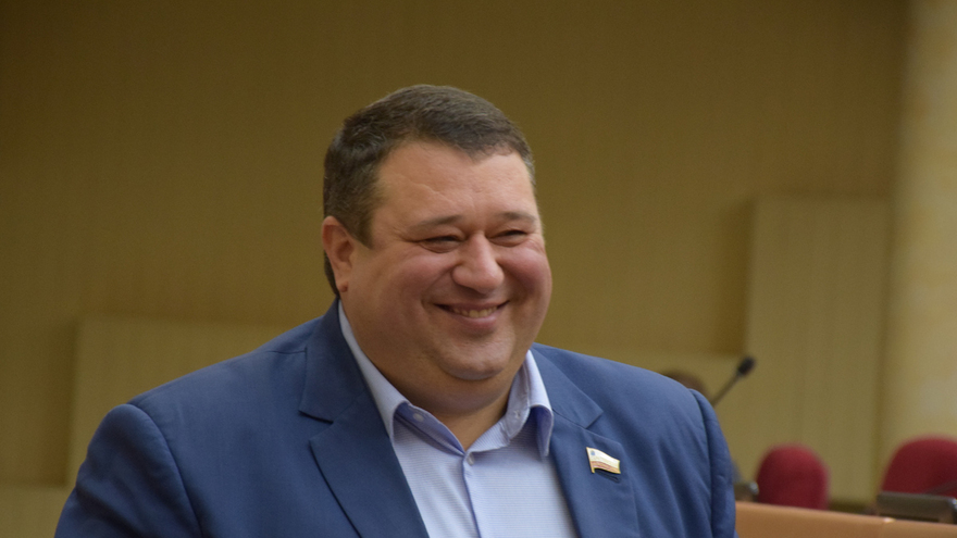 Саратовский депутат намекнул на ввод бесплатной пластической хирургии для многодетных матерей