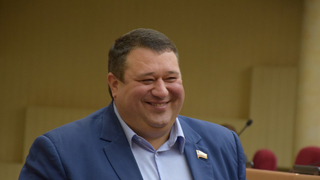 Саратовский депутат намекнул на ввод бесплатной пластической хирургии для многодетных матерей