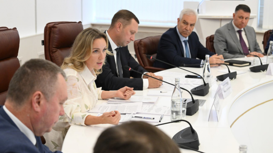 Детский омбудсмен посоветовала создать саратовского оператора по поддержке семей