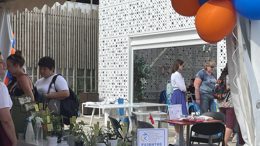 На Инклюзивном пикнике в Саратове собирали деньги для детей-инвалидов