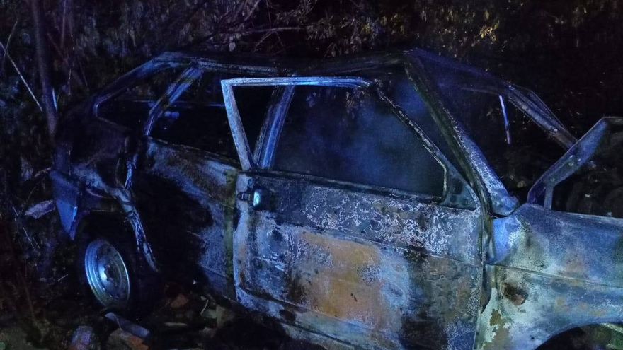В Саратовской области легковушка с подростками врезалась в дерево и загорелась: один погиб