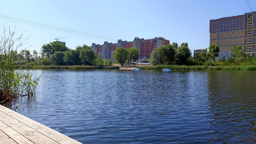 Подростки обстреляли детей и уток на озере