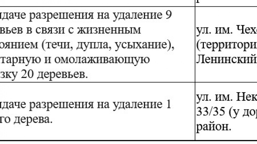 В Саратове на проспекте 50 лет Октября вырубят 31 опасное дерево