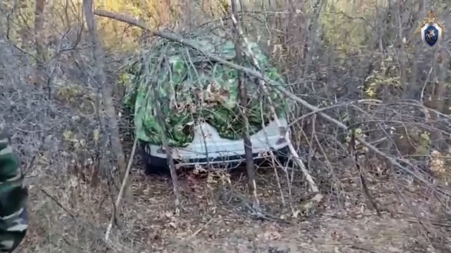 Убийство похищенной Натальи Алешниковой: преступники по-прежнему на воле