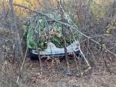Убийство похищенной Натальи Алешниковой: преступники по-прежнему на воле