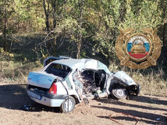 В Саратовской области произошла автокатастрофа: погибли трое