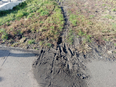 В Саратове самокатчики устроили заезды по газону и изуродовали его