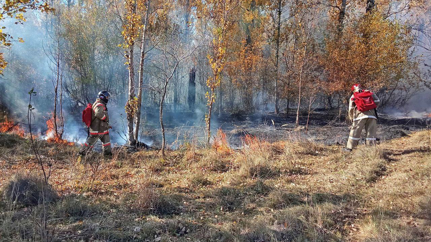 В Саратовской области тушат 4 природных пожара