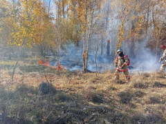 В Саратовской области тушат 4 природных пожара