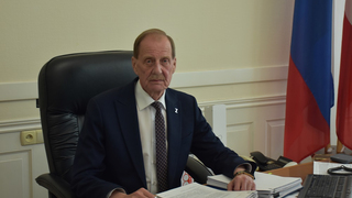 И.п. мэра об опиловке деревьев в Саратове: Стало светло. Только толку от этого?