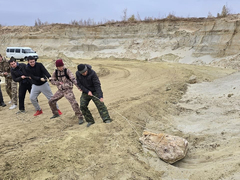 В Саратовской области нашли часть дерева возрастом 56-66 млн лет