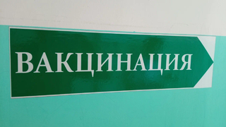 Заболеваемость гриппом в Саратовской области выросла почти на 20%: планируется выделить дополнительно 7 млн на вакцины