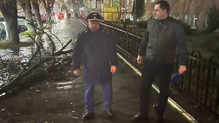 В центре Саратова дерево покалечило 16-летнюю девушку