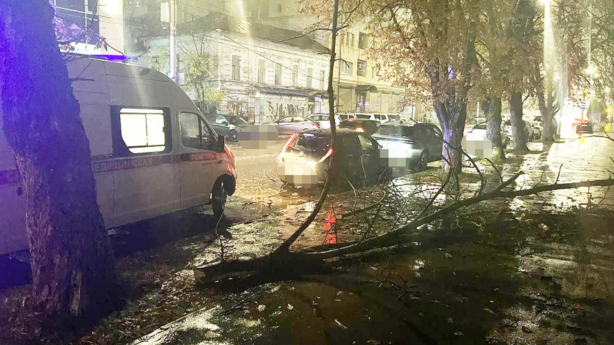 В центре Саратова дерево покалечило 16-летнюю девушку