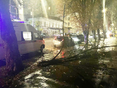 В центре Саратова дерево покалечило 16-летнюю девушку