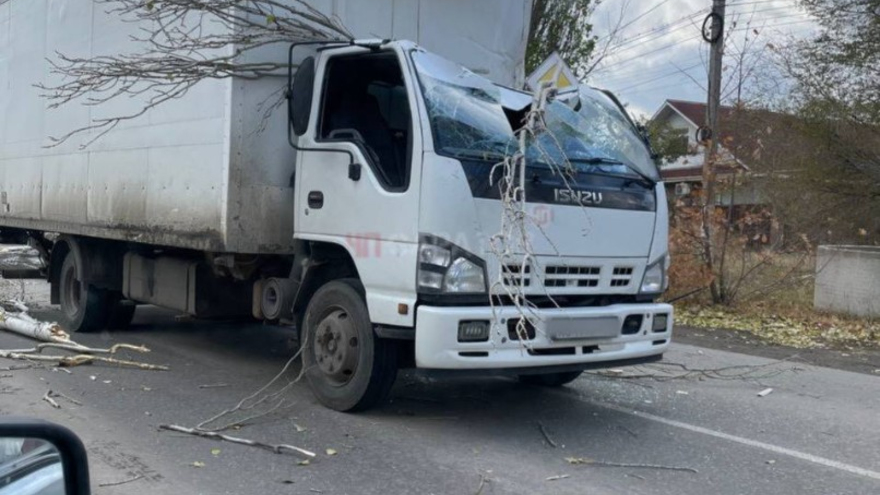 Непогода в Саратове: рухнувшее дерево раздавило кабину грузовика, пострадал человек