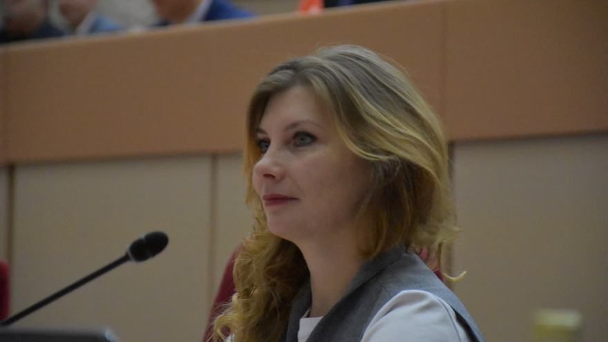 Школы, детсады, закупка лекарств: Саратовская областная дума утвердила миллиардные поправки в бюджет-2024