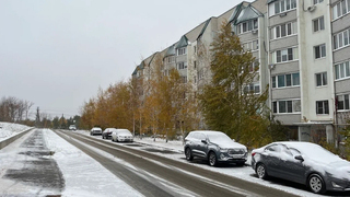 Погода в Саратовской области: снег и потепление в четверг