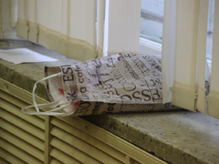 Жители одобрили возможность гордуме согласовывать замов мэра Саратова