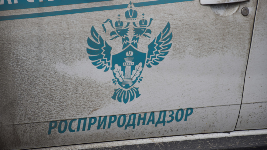 В Саратове обнаружили нелегальную свалку