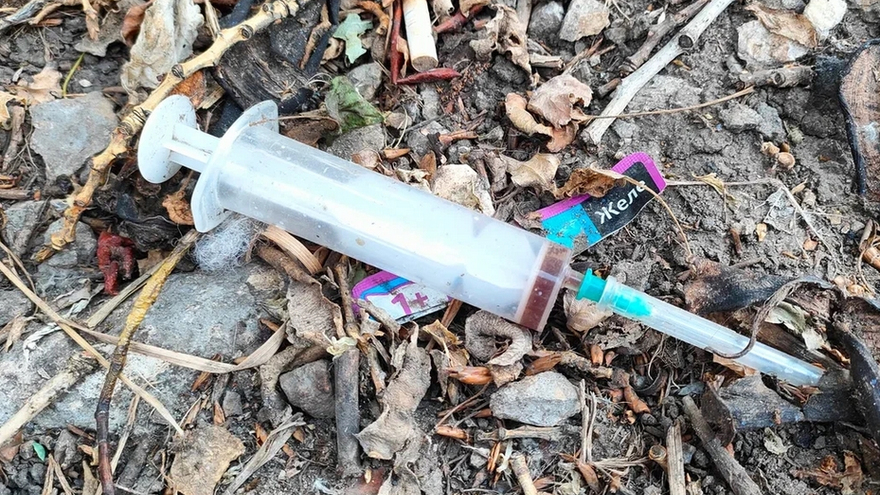 В Саратовской области создадут единый реестр наркоманов